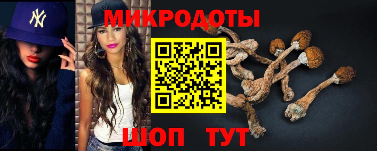 Псилоцибиновые грибы GOLDEN TEACHER  Вход с VPN  Псилоцибиновые грибы ЛСД  Алапаевск 